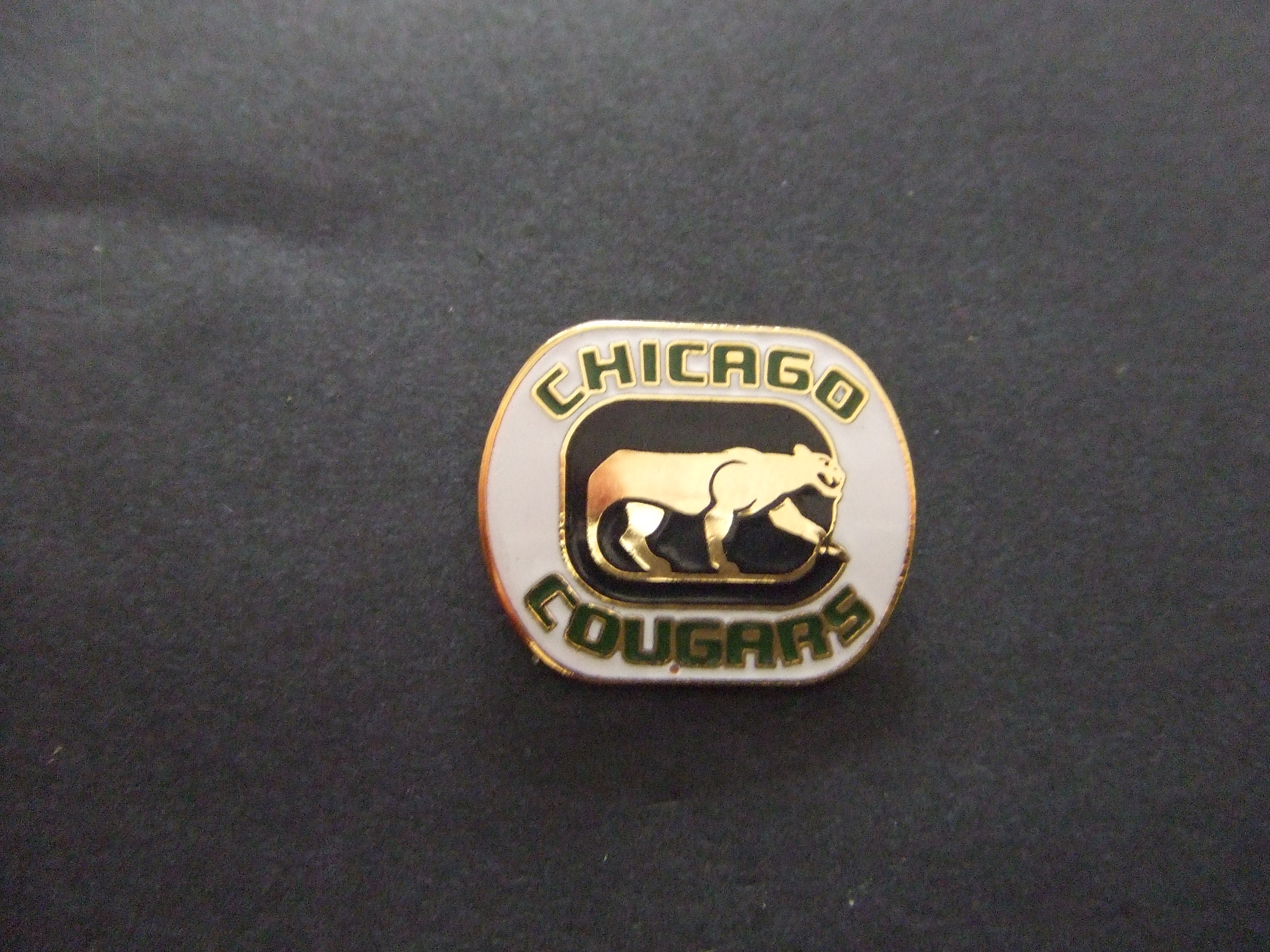 Chicago Cougars Illinois ijshockeyclub 